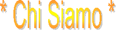 * Chi Siamo *